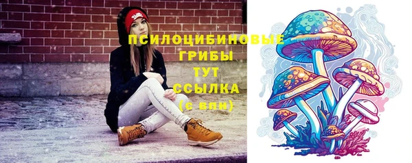 круглые Алзамай