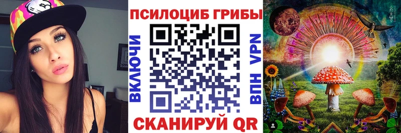 гидра вход  Бежецк  Псилоцибиновые грибы мухоморы 